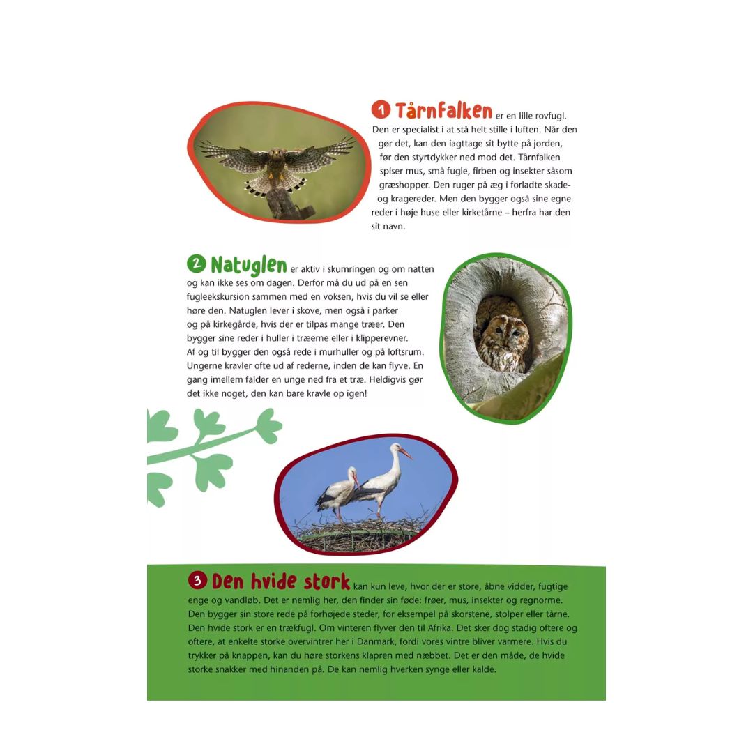 Bog Fugle i vores natur