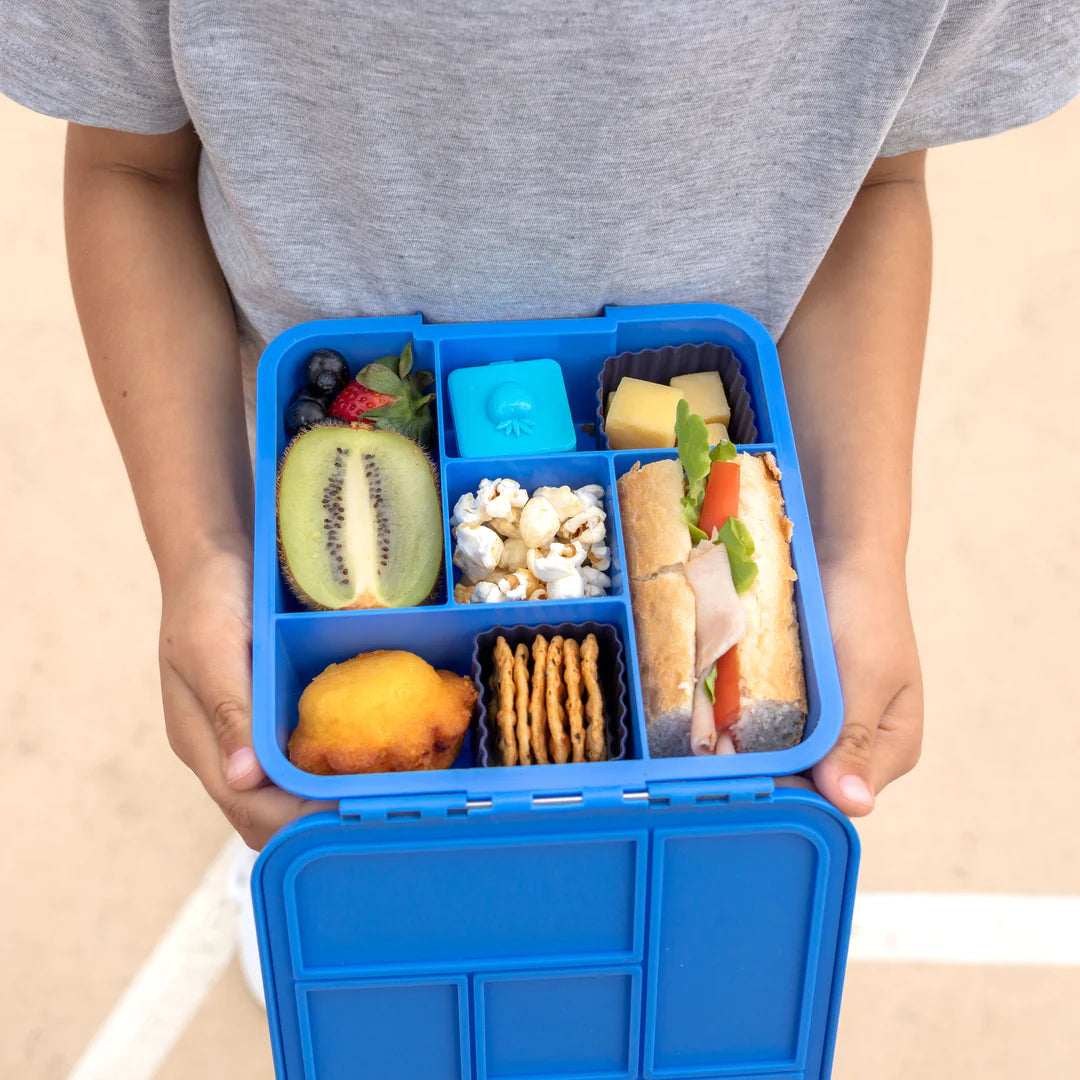 Little Lunch Box 'bento five', blueberry