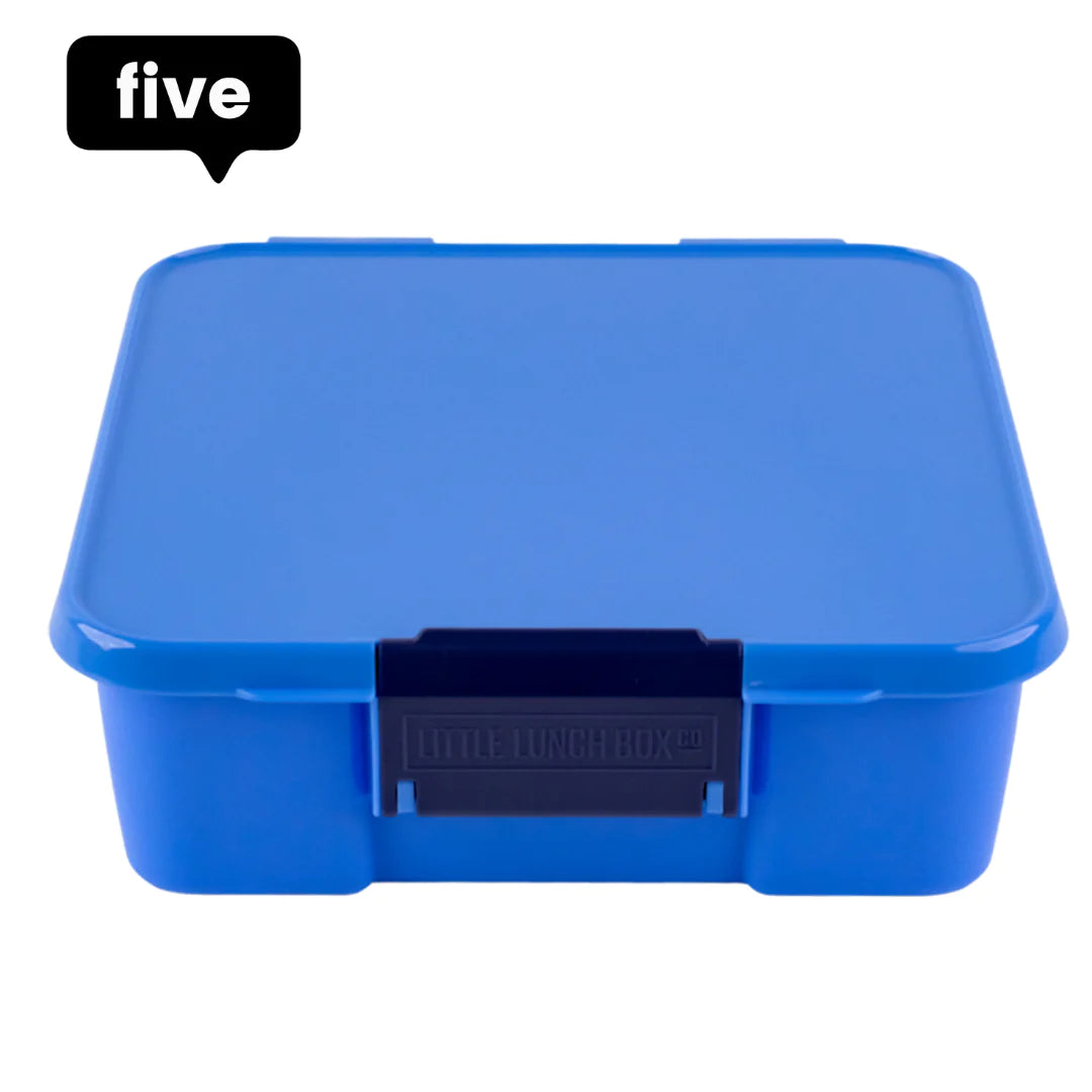 Little Lunch Box 'bento five', blueberry