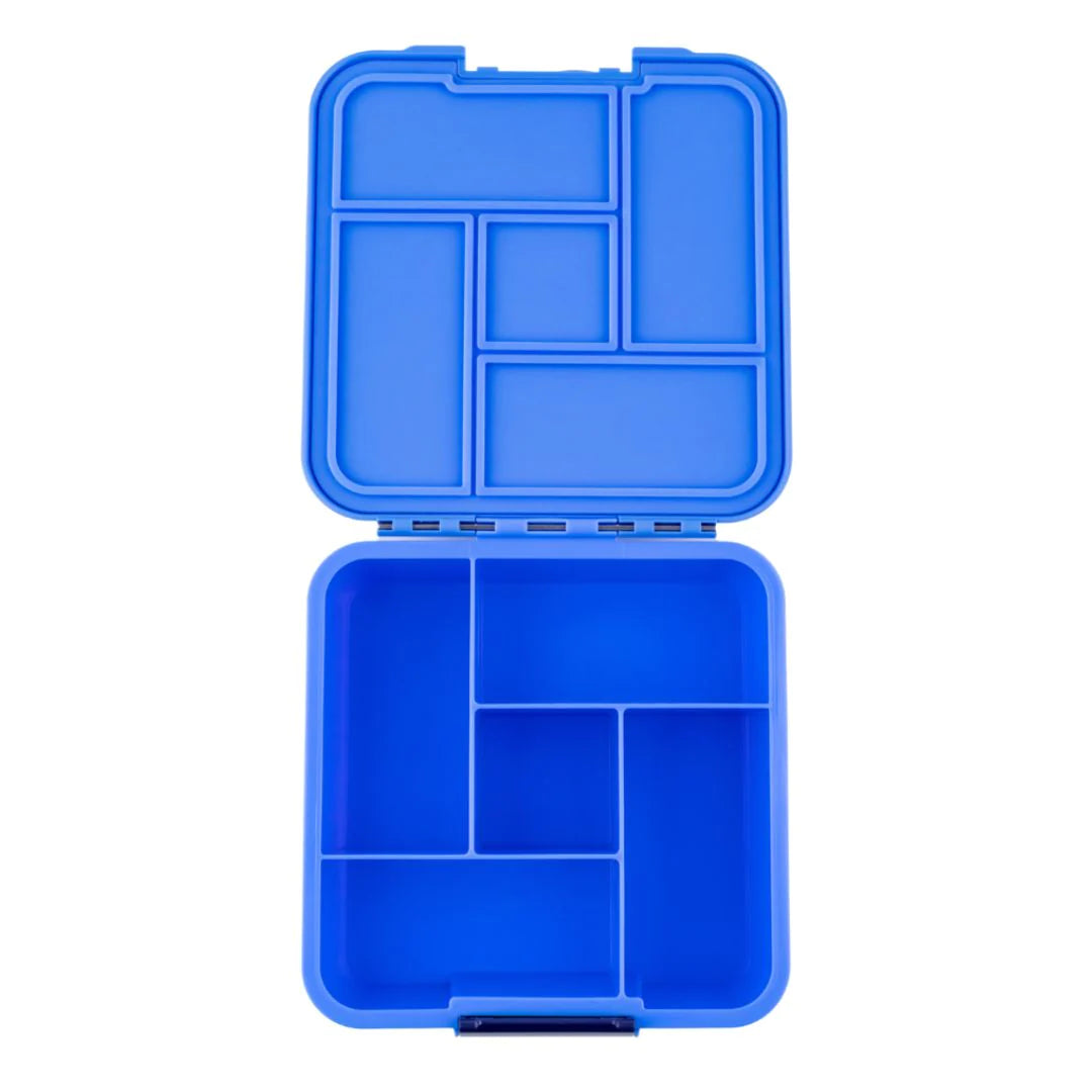 Little Lunch Box 'bento five', blueberry