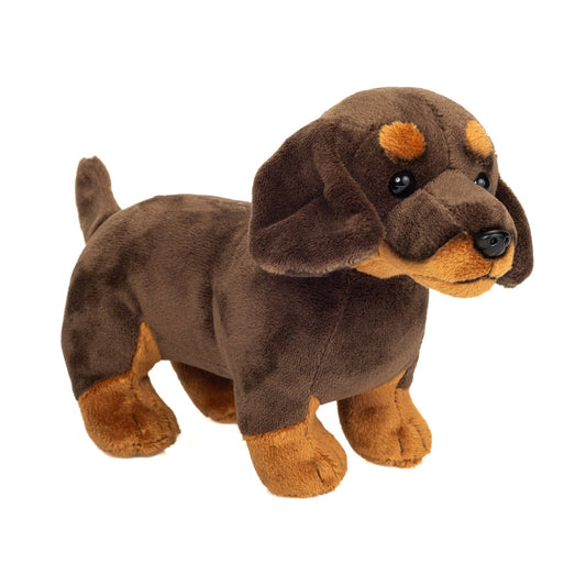 Brun gravhund bamse.