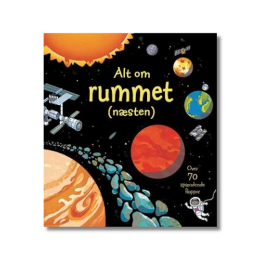 Bog Alt om rummet (næsten)