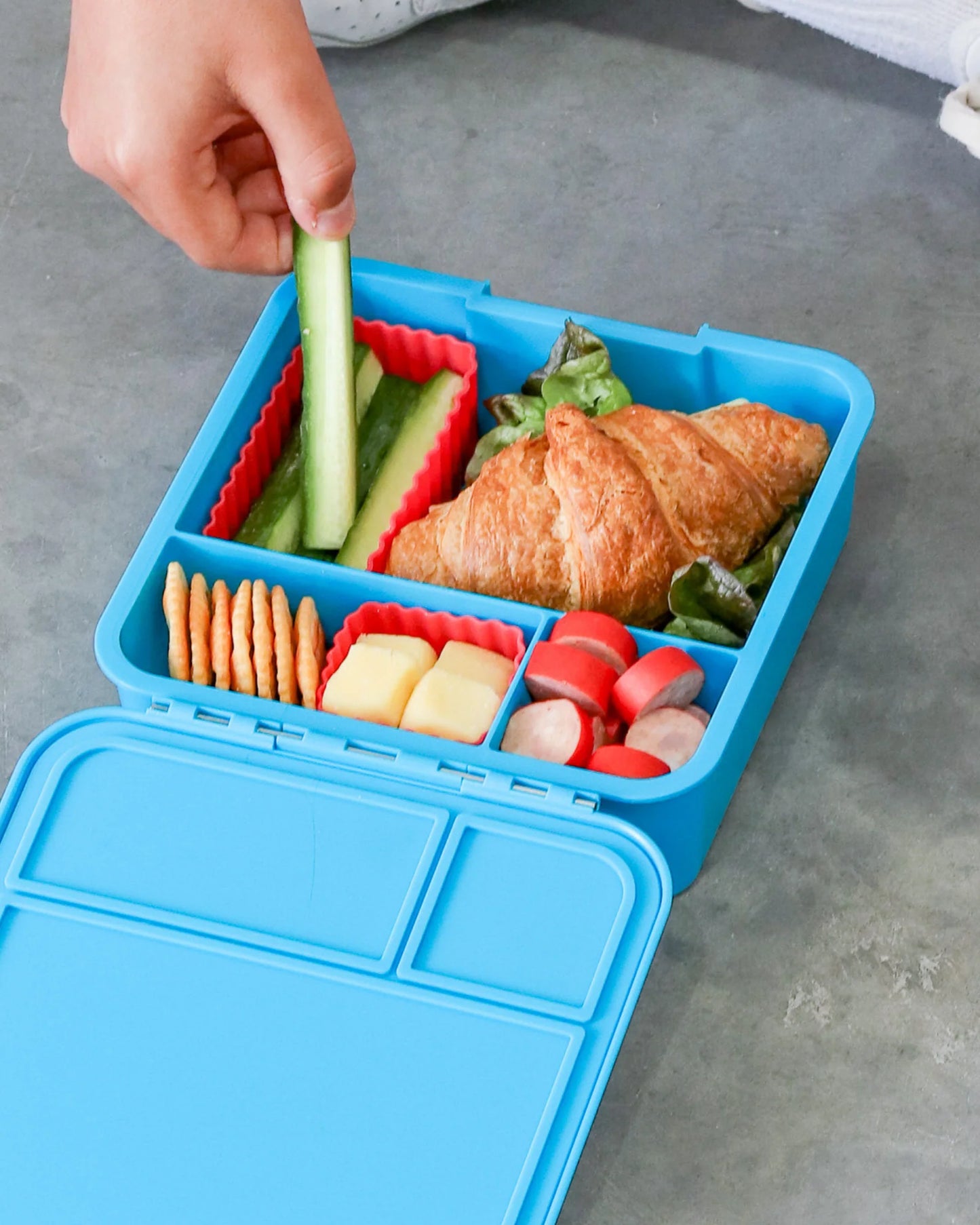 Montii Bento Forme Mixed - Watermelon