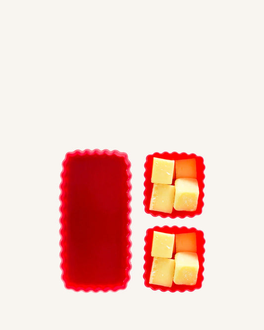 Montii Bento Forme Mixed - Watermelon