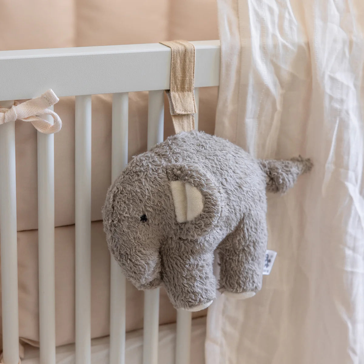 Sebra Musikuro, Fanto, grey