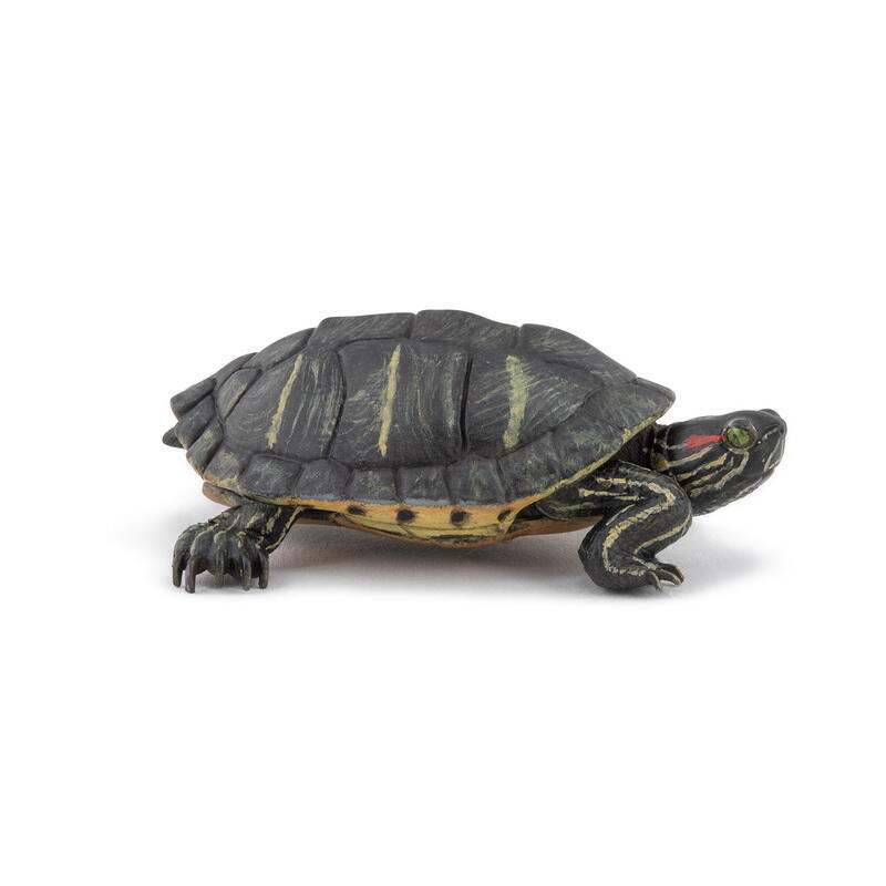 Papo Florida Skildpadde