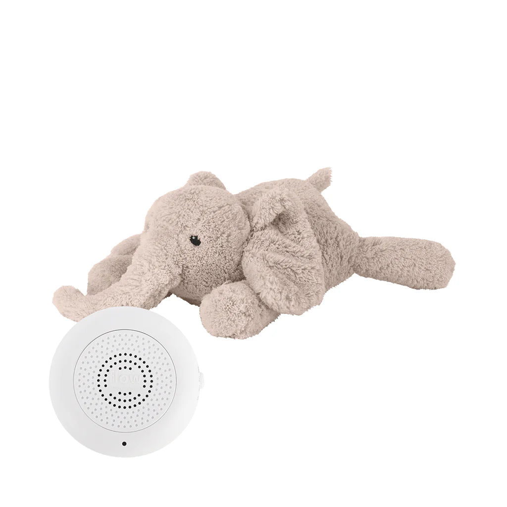 Flow Amsterdam Hjertelydsbamse - George Blush