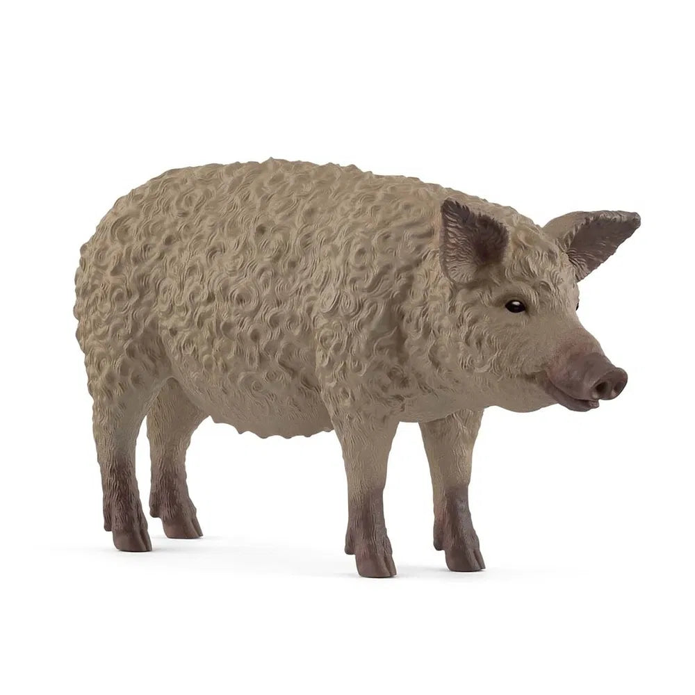 Schleich Mangalica Gris