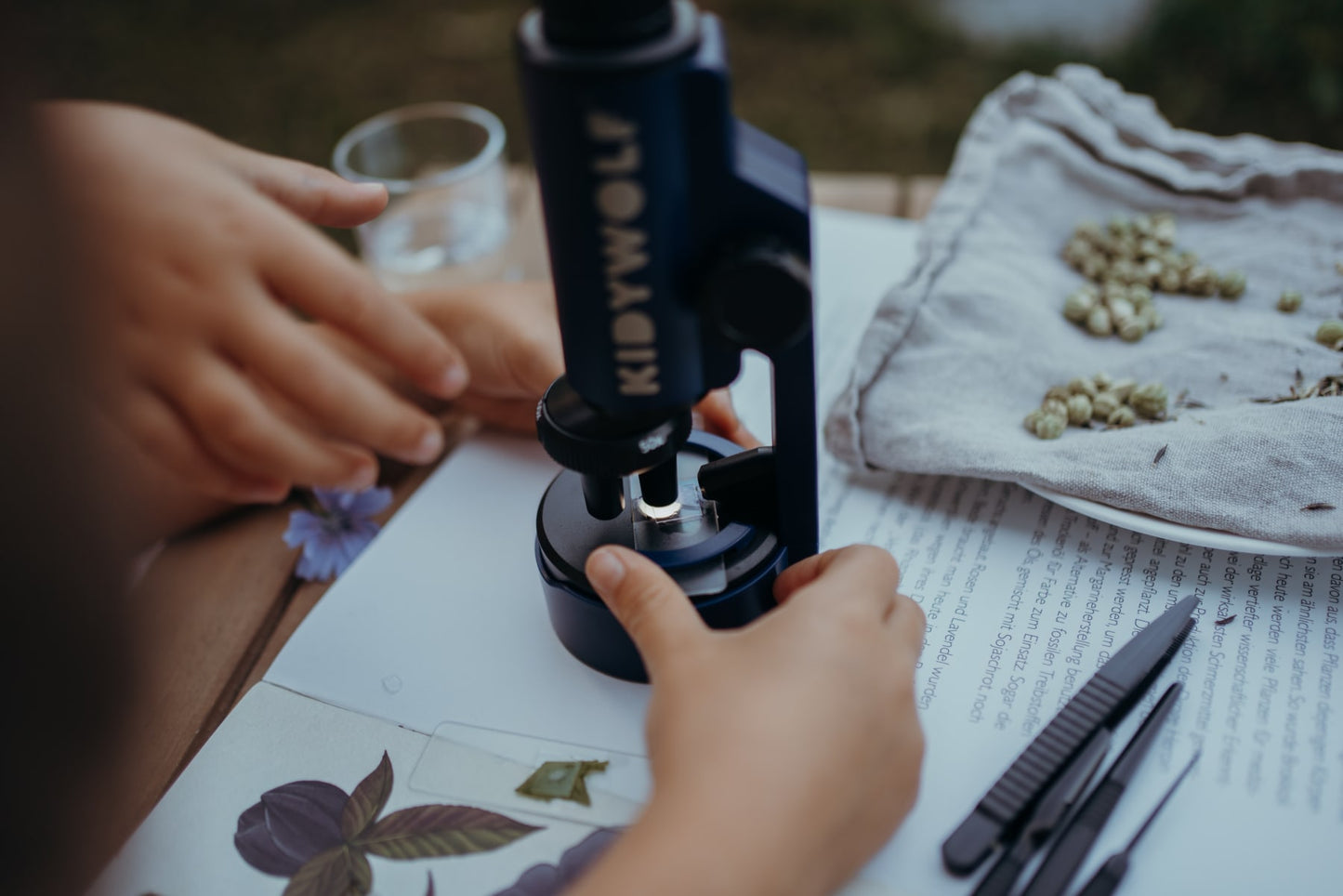 Kidywolf Mikroskop, Blå