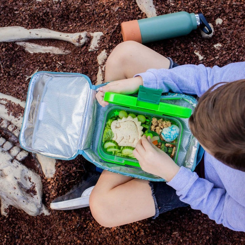 Montii Køletaske Jurassic, Large