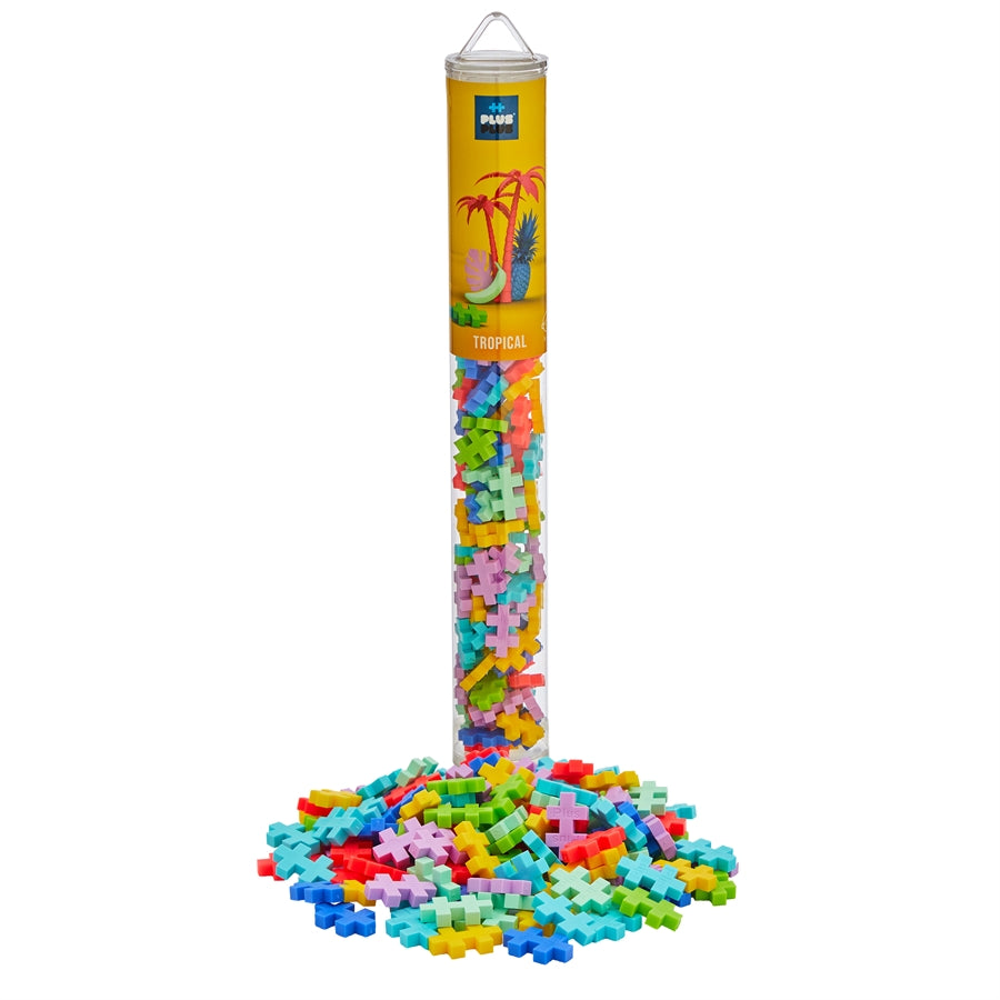 100 brikker plusplus.