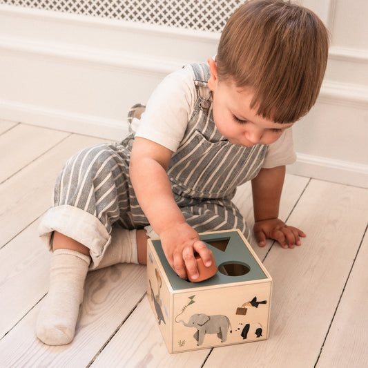 Sebra Puttekasse, World of Sebra