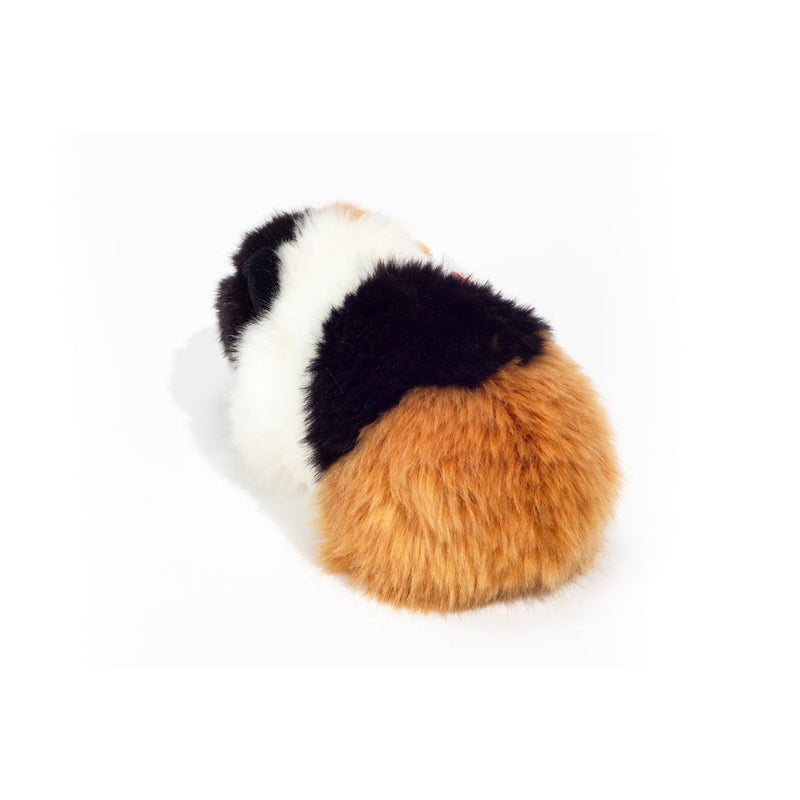 Marsvin bamse.
