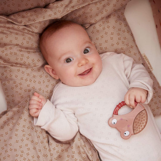 Filibabba bideringe, bi og larve