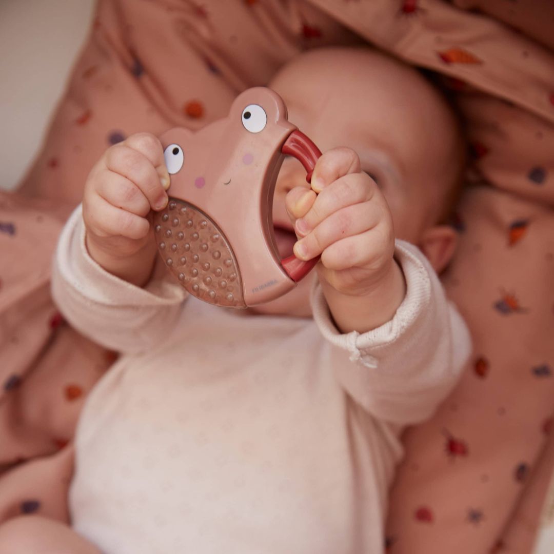 Filibabba bideringe, bi og larve