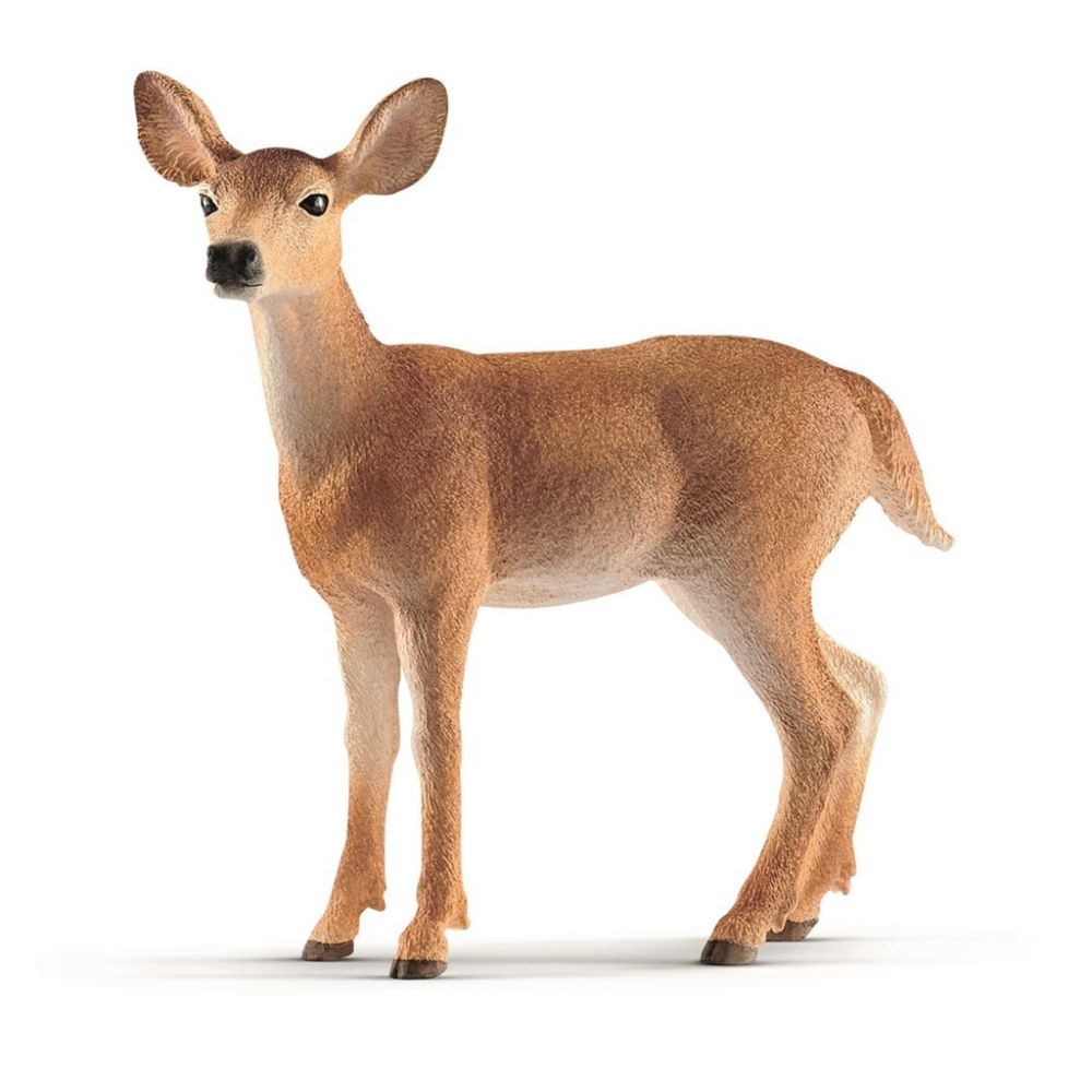 Schleich hvidhalet hjort - All About Kids Odense