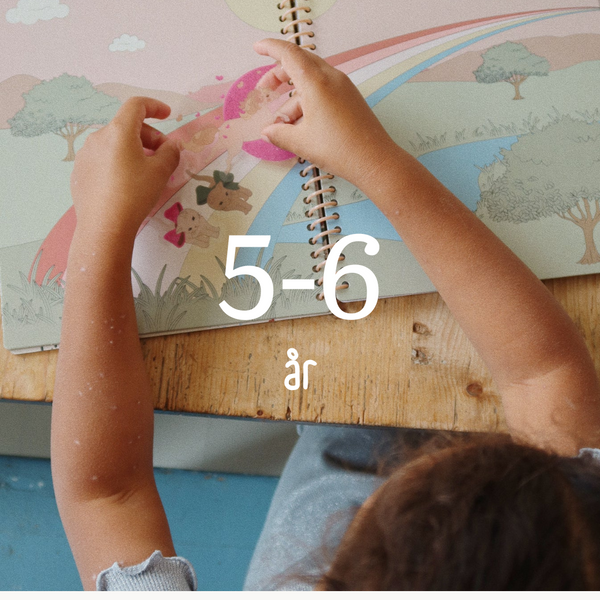 Legetøj 5-6 år