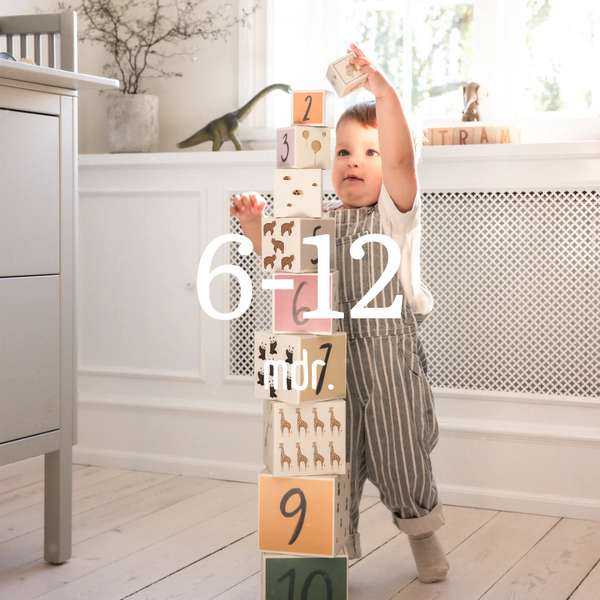 Legetøj 6-12 måneder