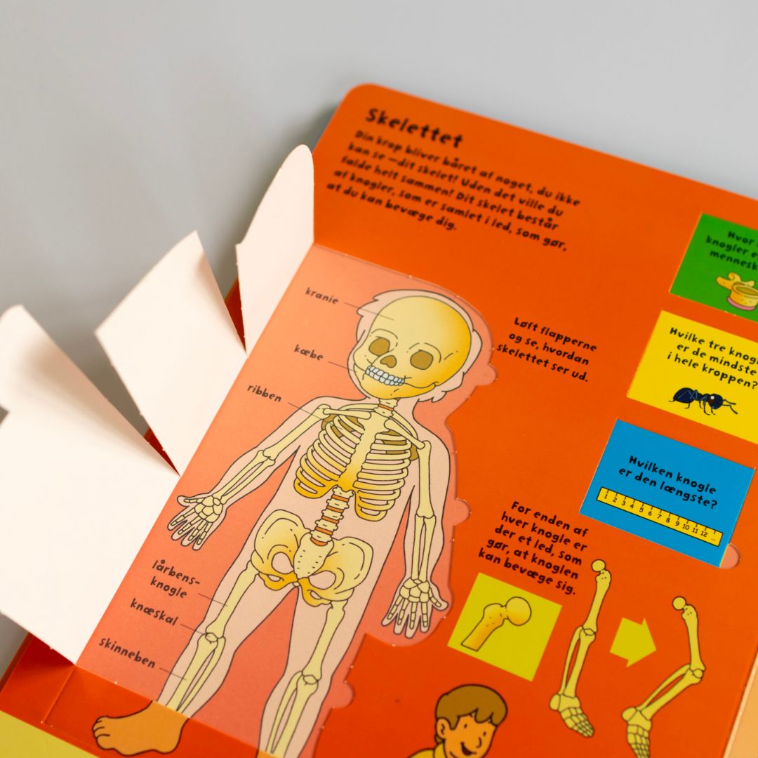 Bog Den store flapbog: Kroppen