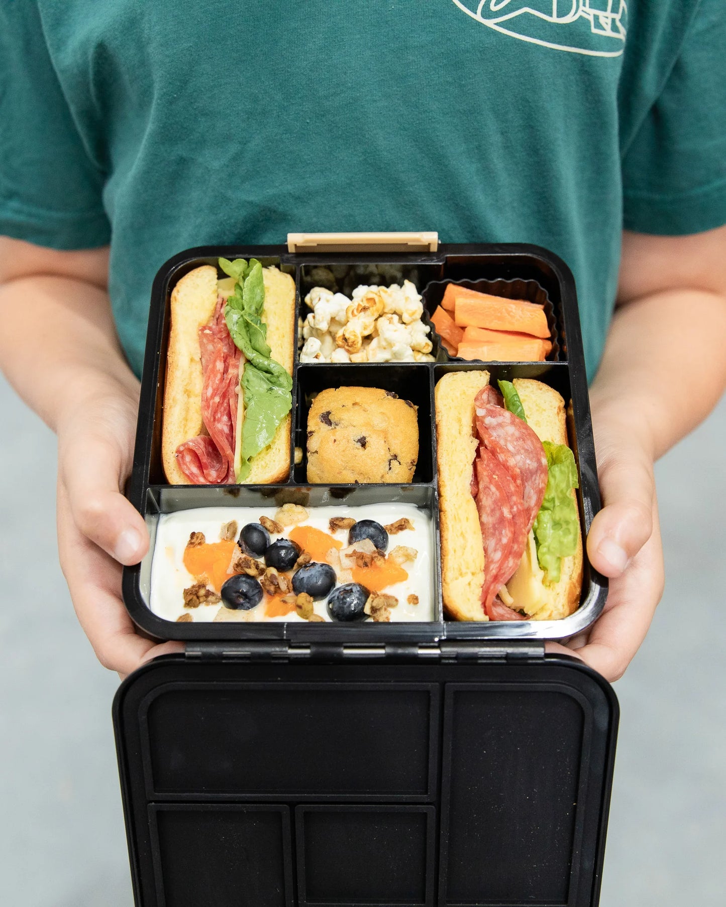 Montii Bento Five Lunch Box - Dinosaur Land