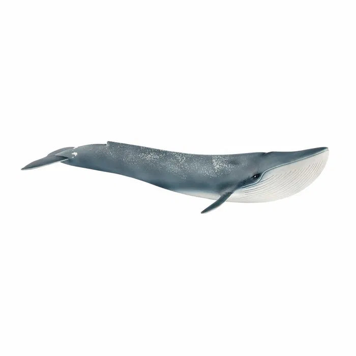 Schleich Blåhval