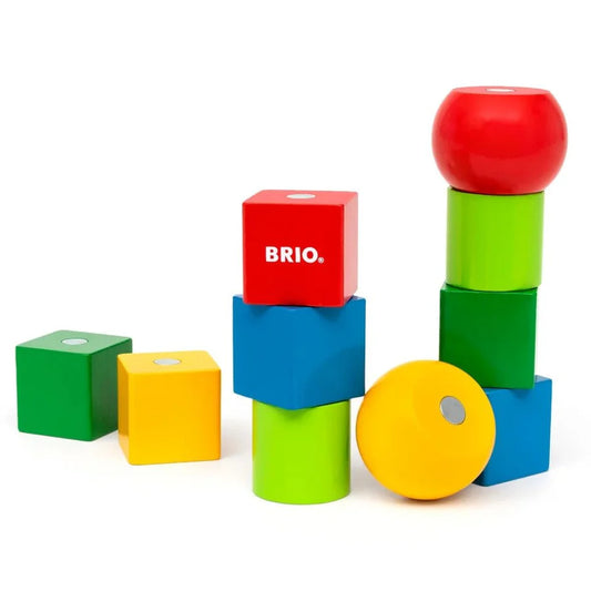 Magnetiske klodser.