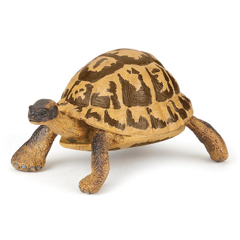 Papo Græsk landskildpadde