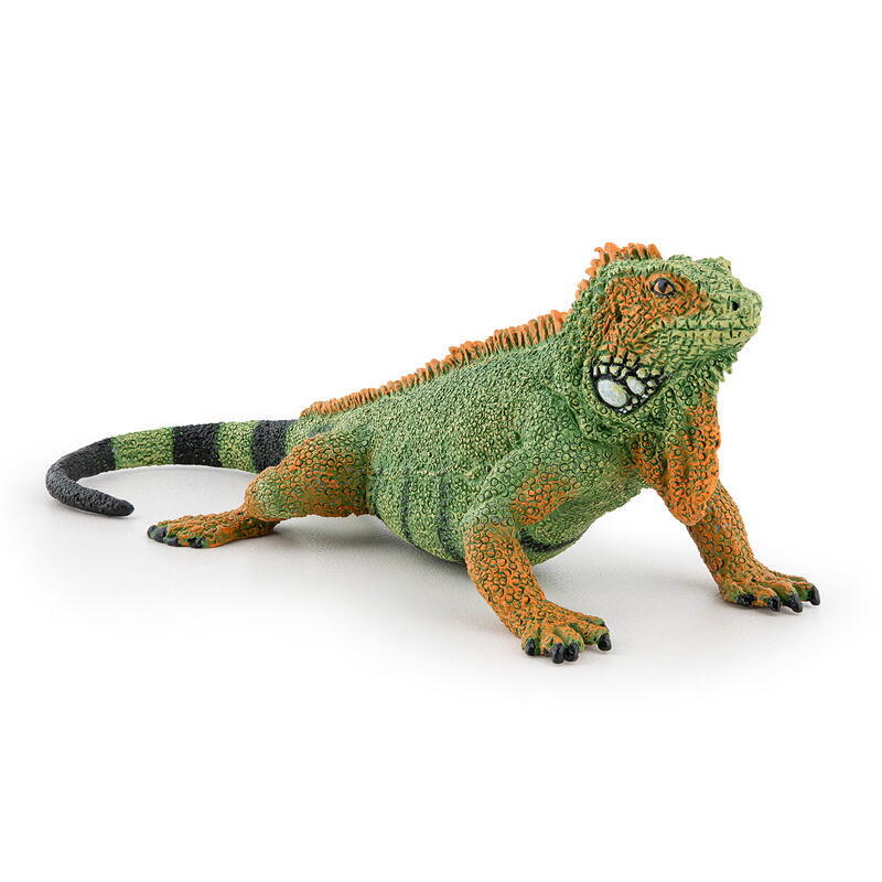 Papo Leguan