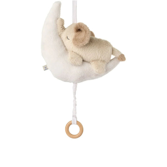 Elefant musikro.