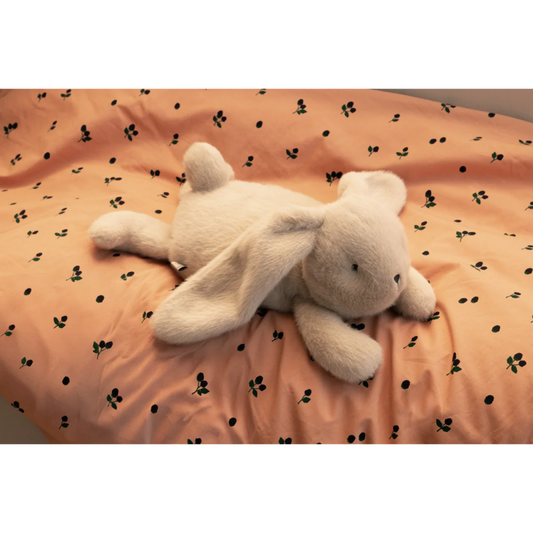 Kanin tyngde bamse.