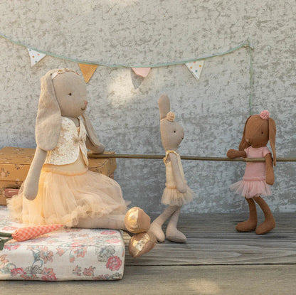 Brun bamse kanin med balletdragt.