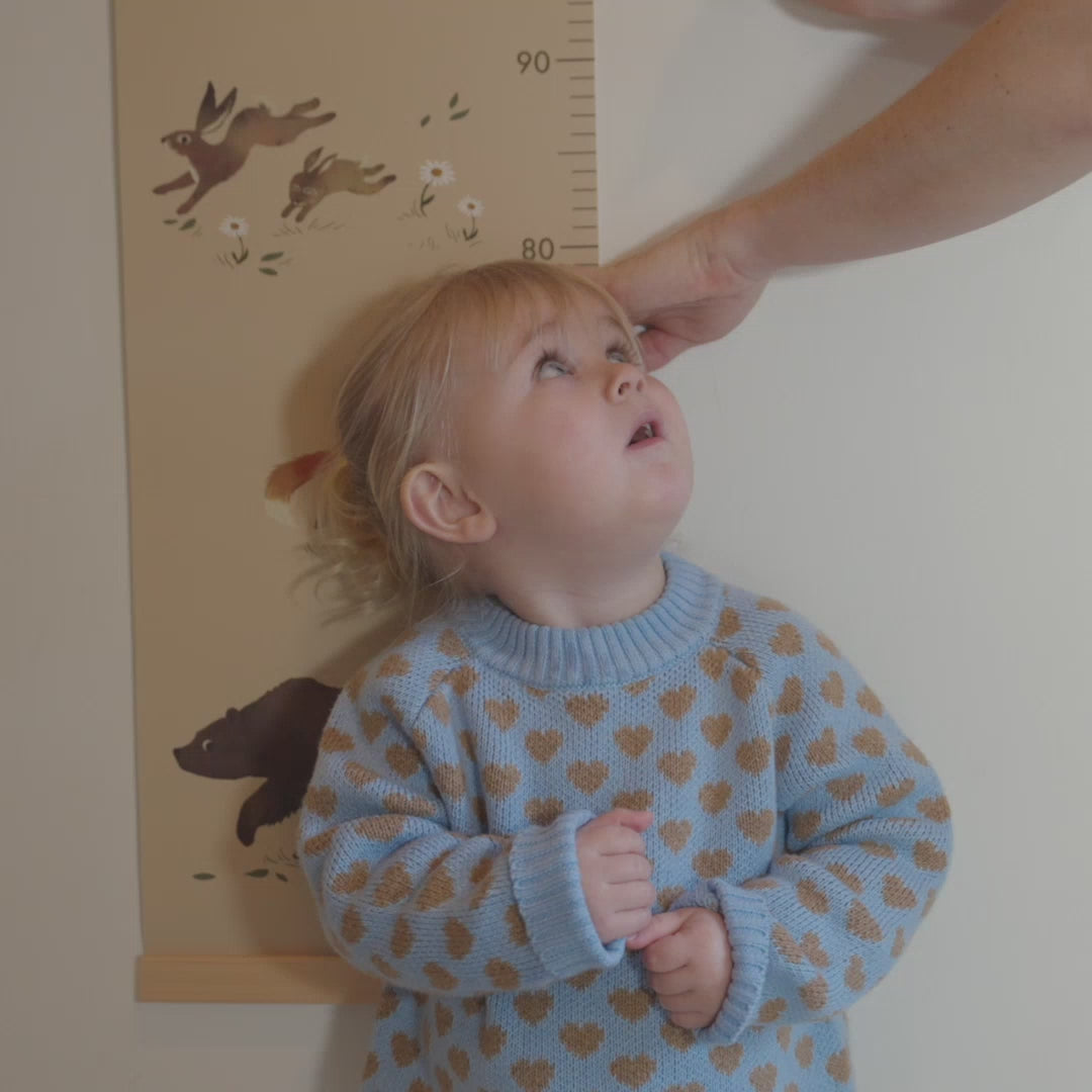 Filibabba Højdemåler, Skovens dyr