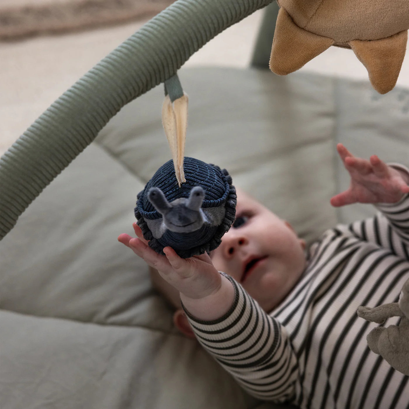 Sebra Aktivitetslegetøj, 3 stk. Frø/bi/snegl