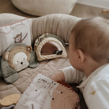 Sebra Stof-aktivitetsbog, Skildpadden Turbo