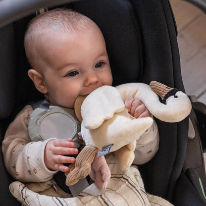 Sebra Aktivitetslegetøj, Svane