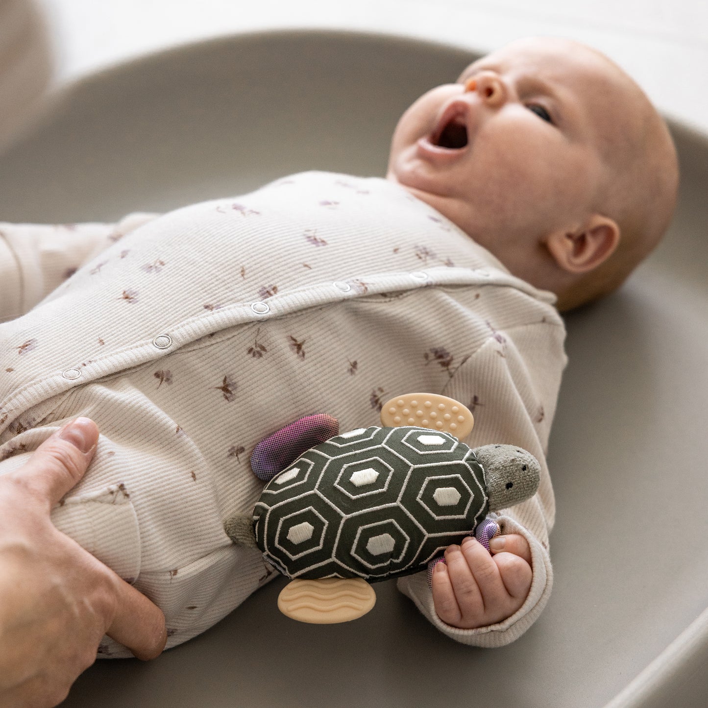 Sebra Aktivitetsrangle med spejl, skildpadden Turbo