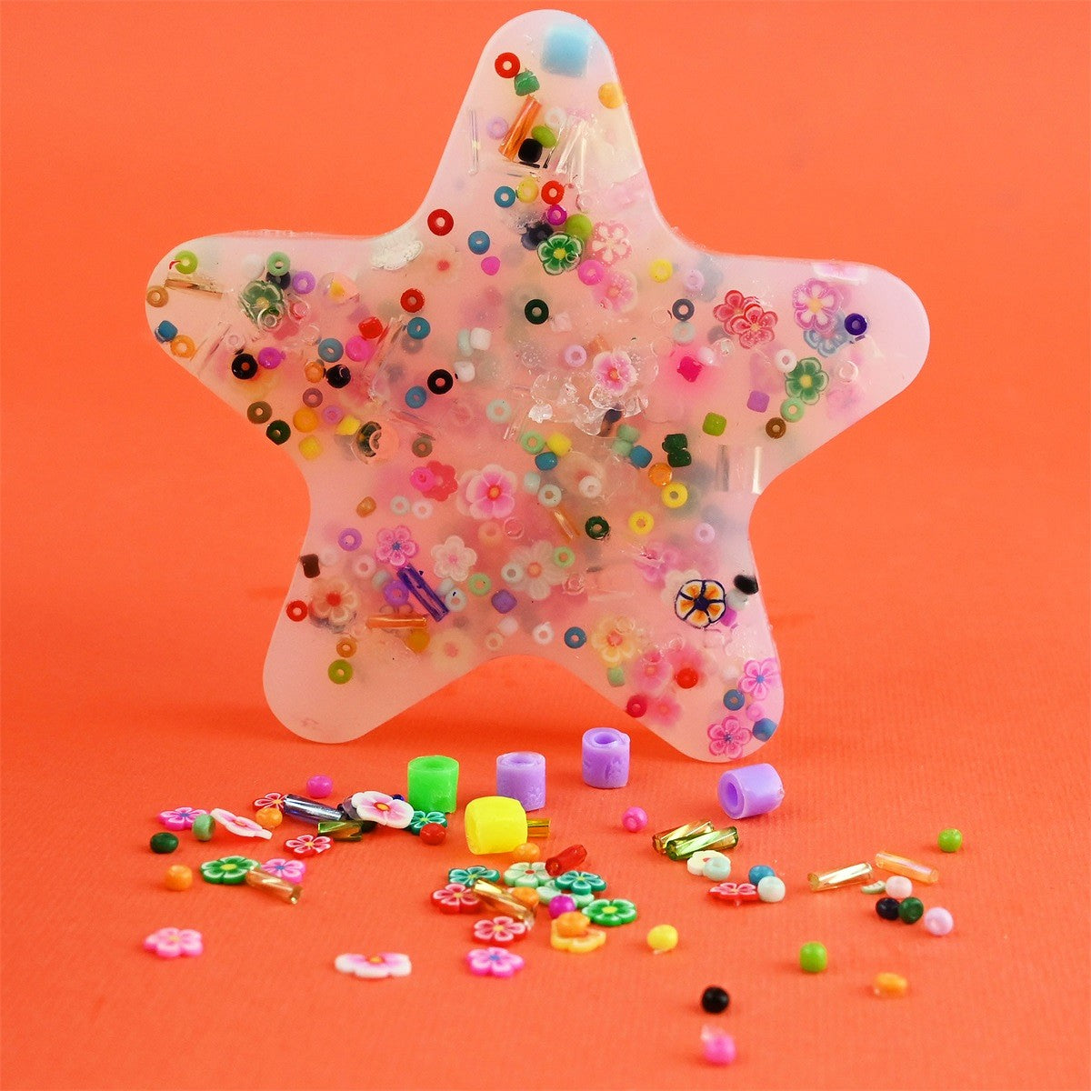 Robetoy Picky Pad Star