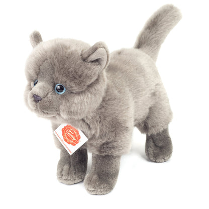 Grå kat bamse.
