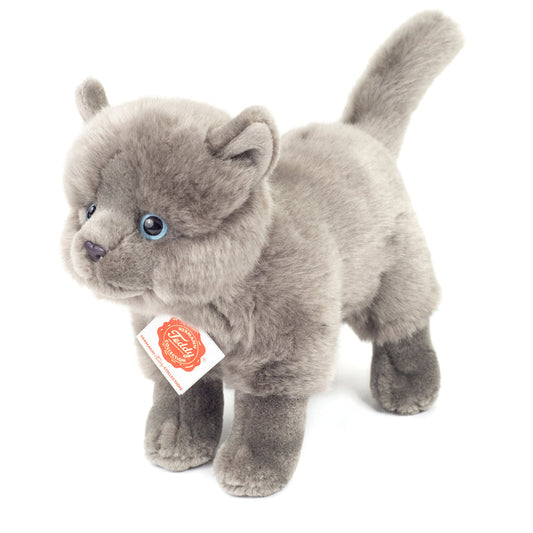 Grå kat bamse.