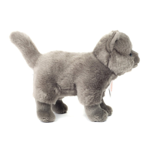 Grå kat bamse.