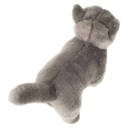 Grå kat bamse.
