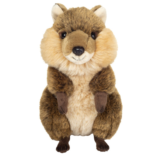 Quokka bamse.