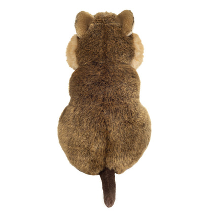Quokka bamse.