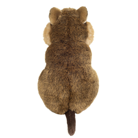 Quokka bamse.
