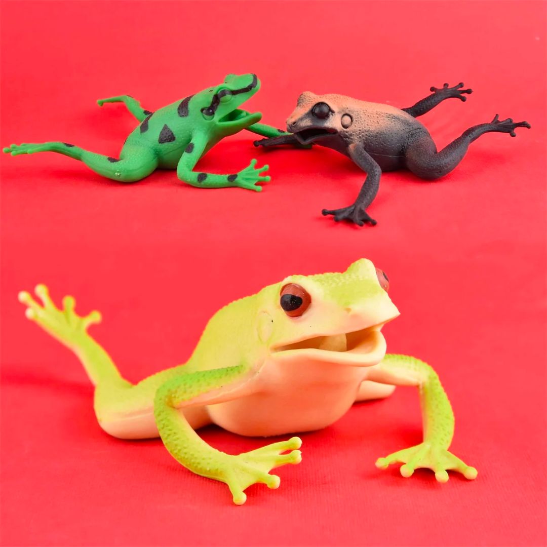 Robetoy 1stk Frø 15cm, assorteret