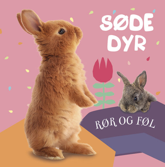 Bog Søde dyr rør og føl