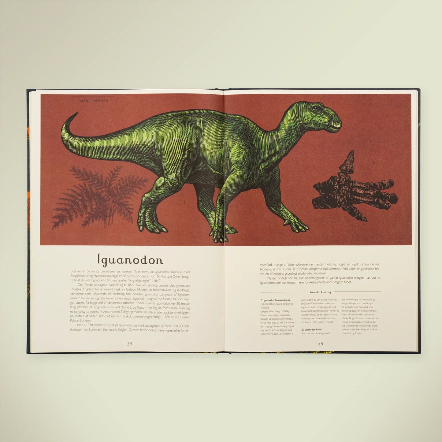 Bog Dinosaurium