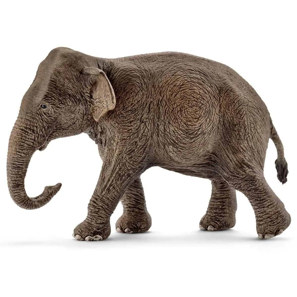 Schleich Asiatisk hunelefant