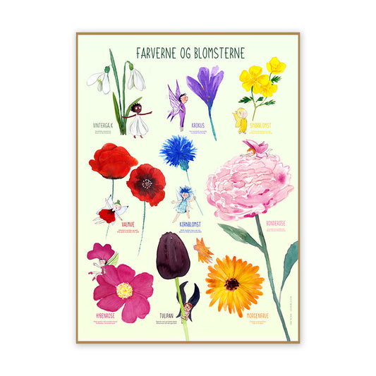 Ciha Plakat 50x70cm, farverne og blomsterne